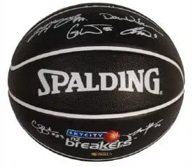 Basketballs Size 5