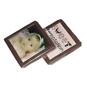 Medium Corporate Chocolates Colour Cello