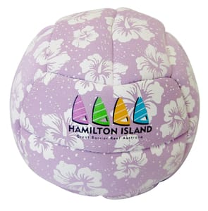 Volleyball Large