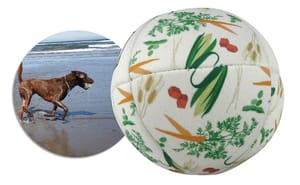 Pet Toy Balls