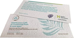 Seedsticks Seed Paper Flyer