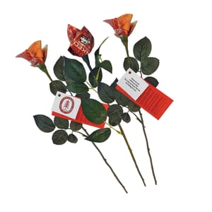 Condom Roses