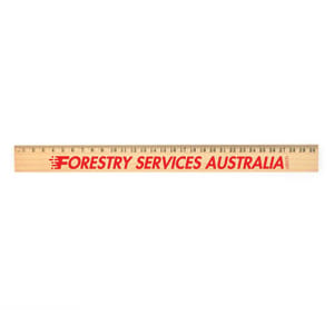 Artus Wooden Rulers