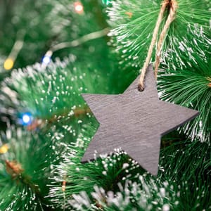 Stanplex Christmas Decorations
