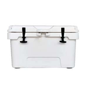 Esky Cooler Boxes 31L