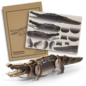 Crocodile Wooden Model