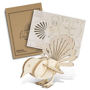 Fantail Wooden Model