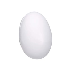Stress Balls Egg