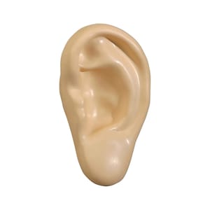 Customized Stressball Ear